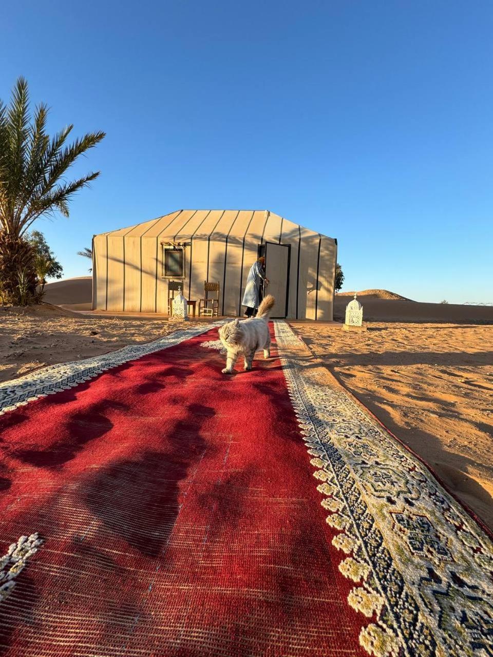 فندق Sahara Luxury Camp Vip مرزوكة المظهر الخارجي الصورة