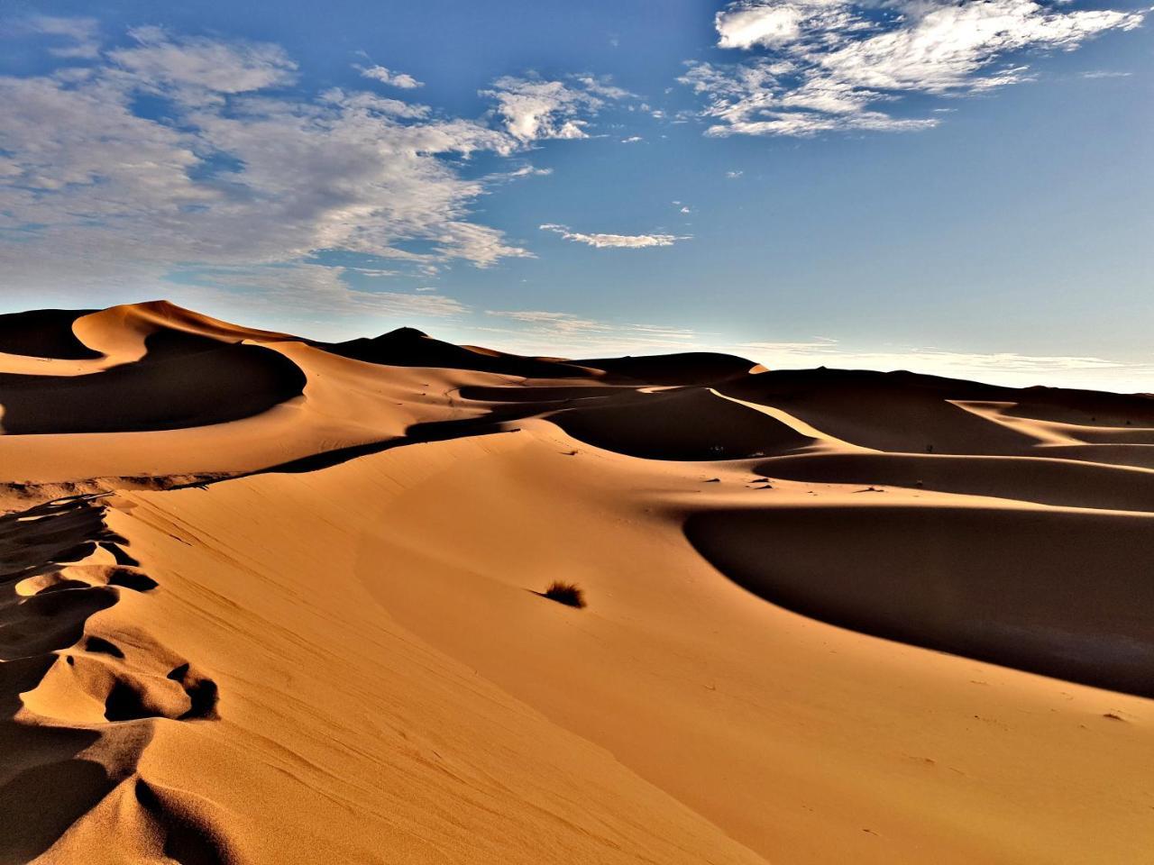 فندق Sahara Luxury Camp Vip مرزوكة المظهر الخارجي الصورة
