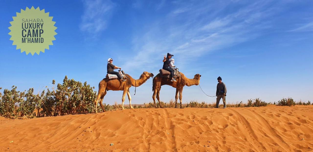 فندق Sahara Luxury Camp Vip مرزوكة المظهر الخارجي الصورة